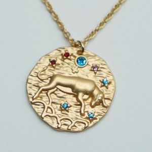 Zodiac TAURUS coin necklace horoscope astrology